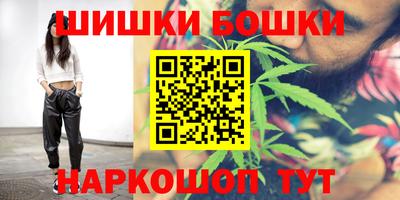 сатива Кингисепп