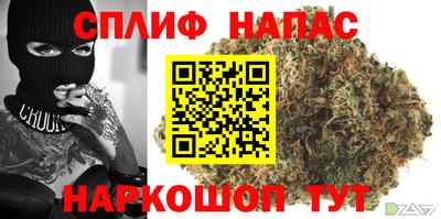 сатива Кингисепп