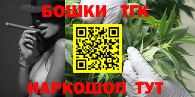 сатива Кингисепп